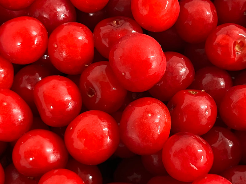 Montmorency Cherry Tree