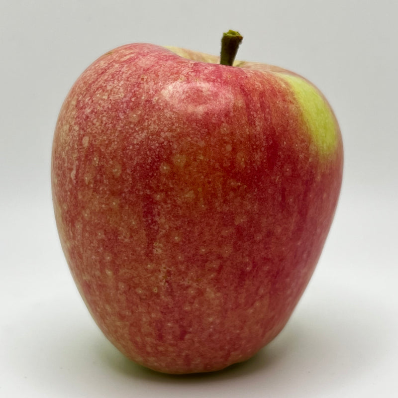 Early Strawberry Apple Tree