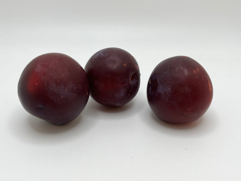 Superior Plum Tree