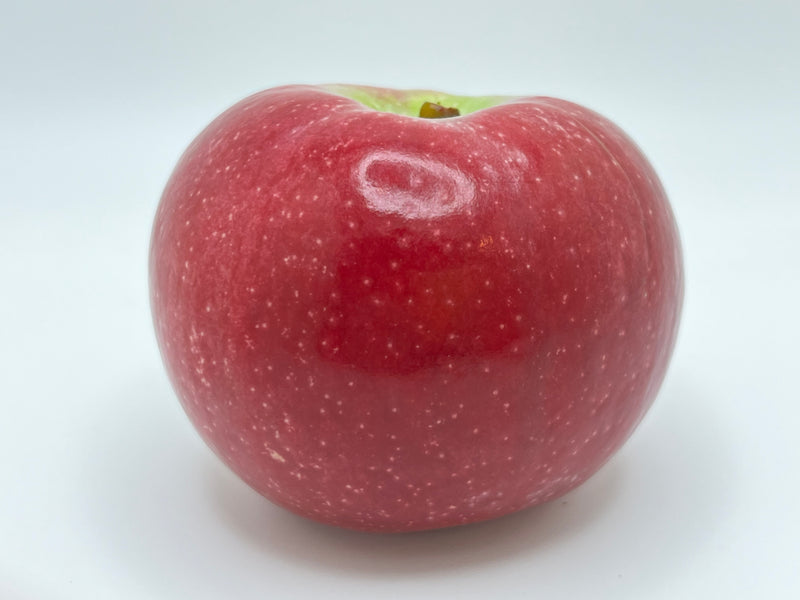 Disease Resistant Apple Collection