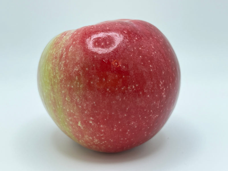 Liberty Apple Scionwoood