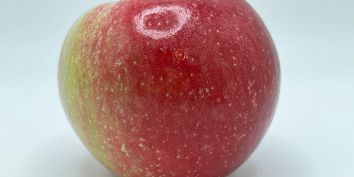 Liberty Apple Scionwoood — Roots to Fruits Nursery