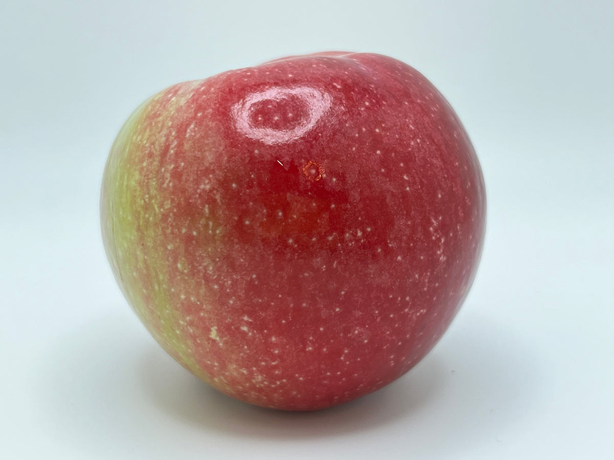 Apple - 21Y-SB-7-11 RORU Liberty Apple Scionwoood — Roots to Fruits Nursery