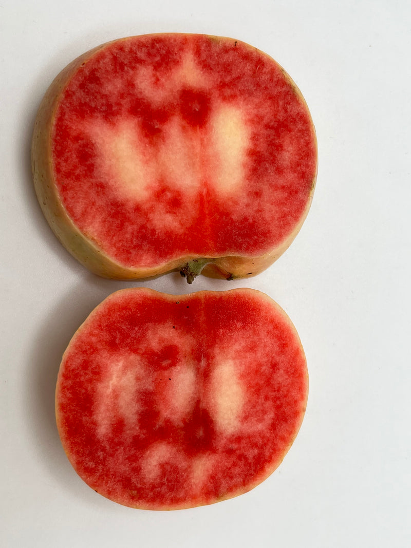 Pink Pearl Apple Trees