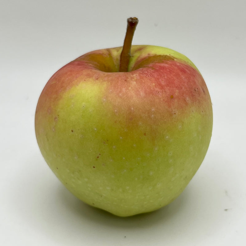 Candy Crisp Apple Tree