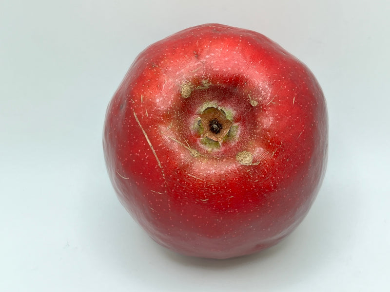 Story®  Inored Apple Tree