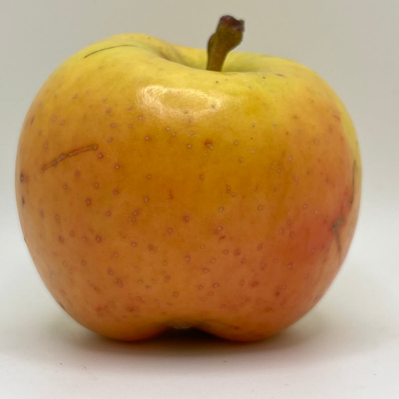 Heliodor™ Apple Trees