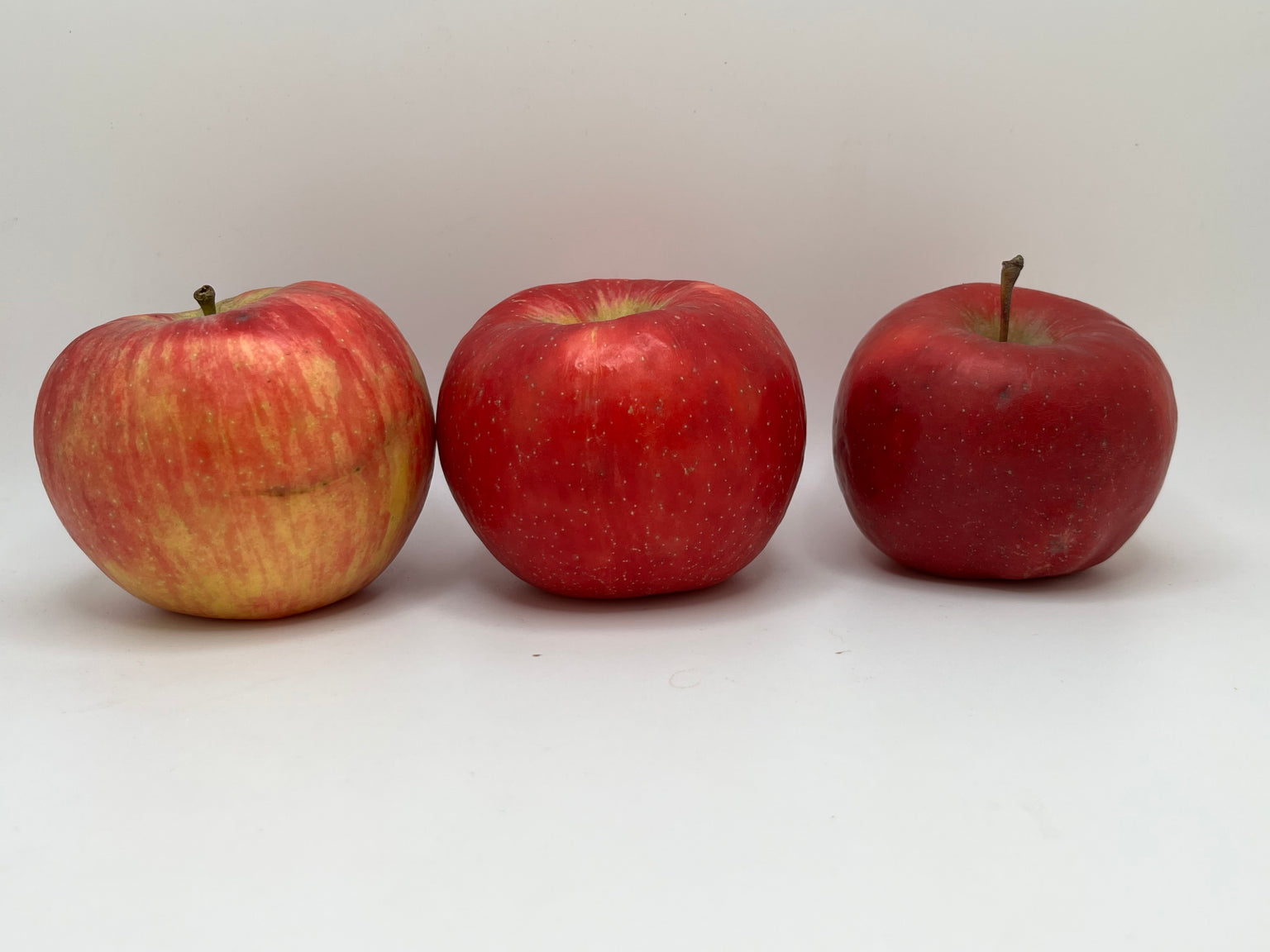 Modern Apples — Roots to Fruits Nursery