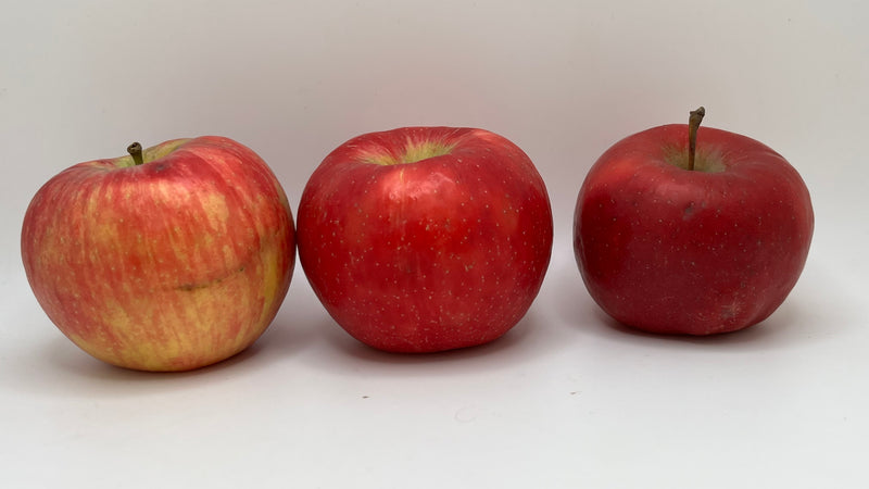 Royal Red Honeycrisp Apple Tree