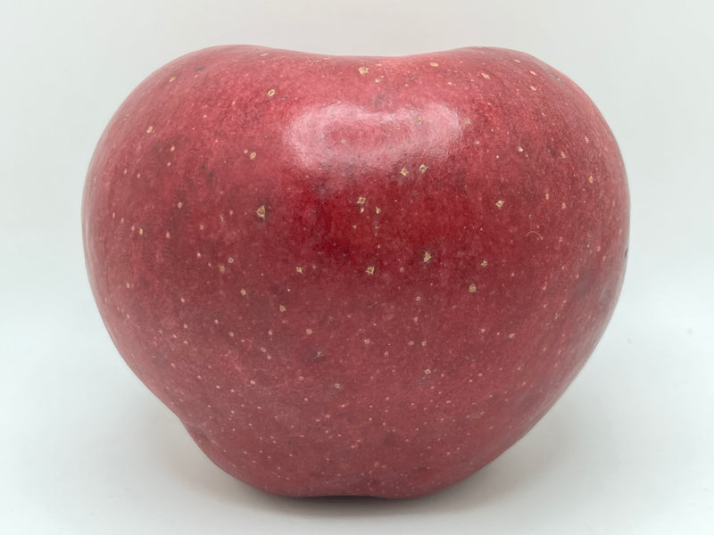 Stayman Winesap Apple Tree