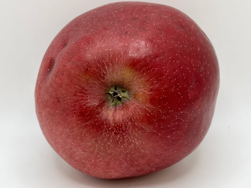 Stayman Winesap Apple Tree