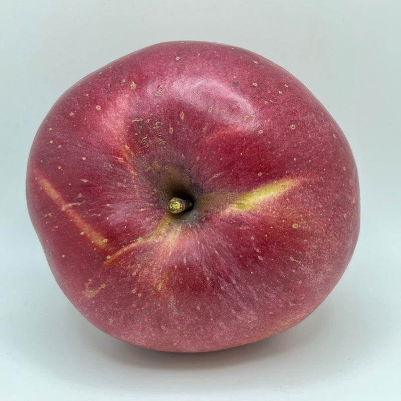 Stayman Winesap Apple Tree