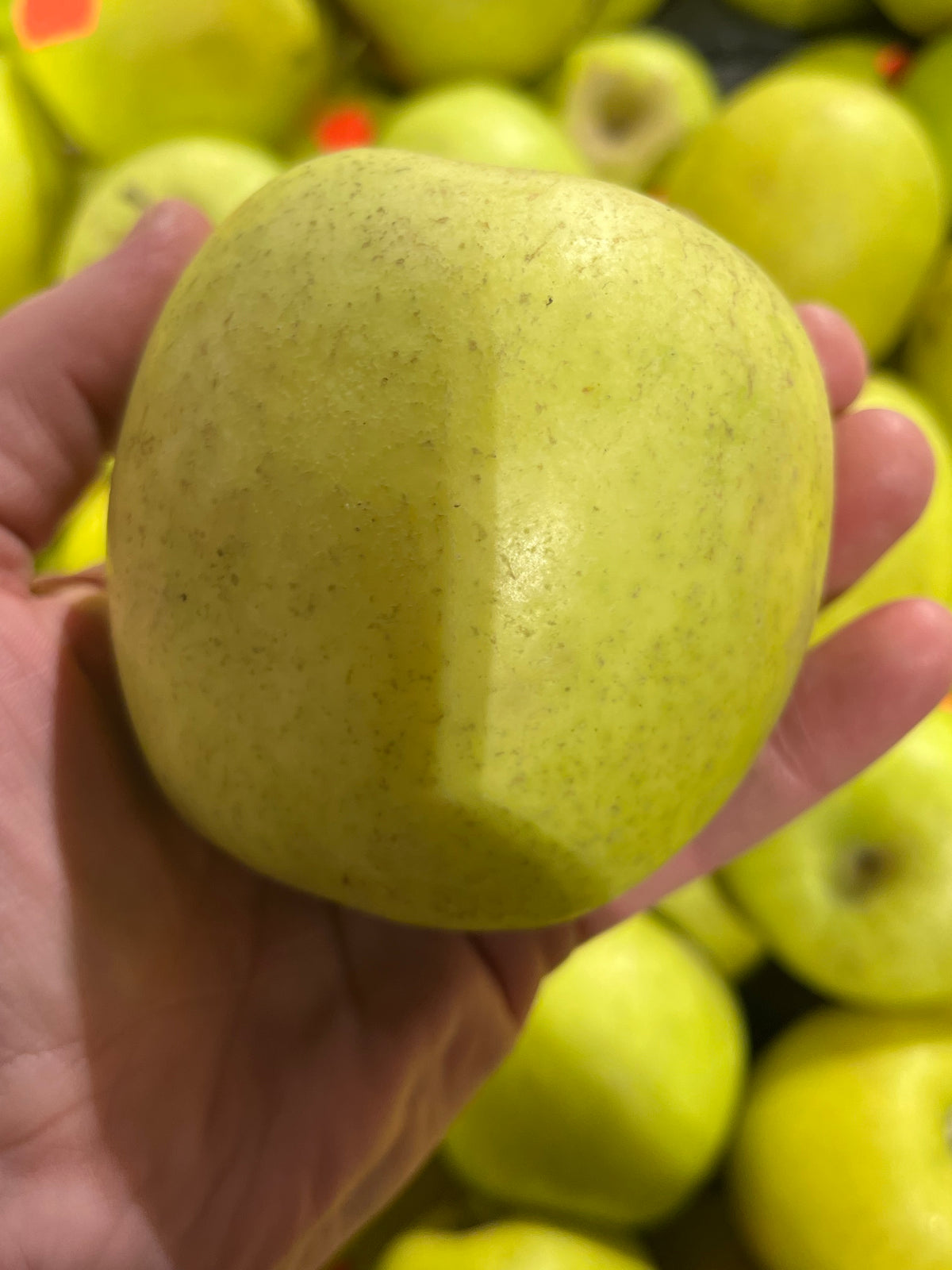 Mutsu Apple — Roots to Fruits Nursery