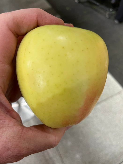 Golden Delicious Apple