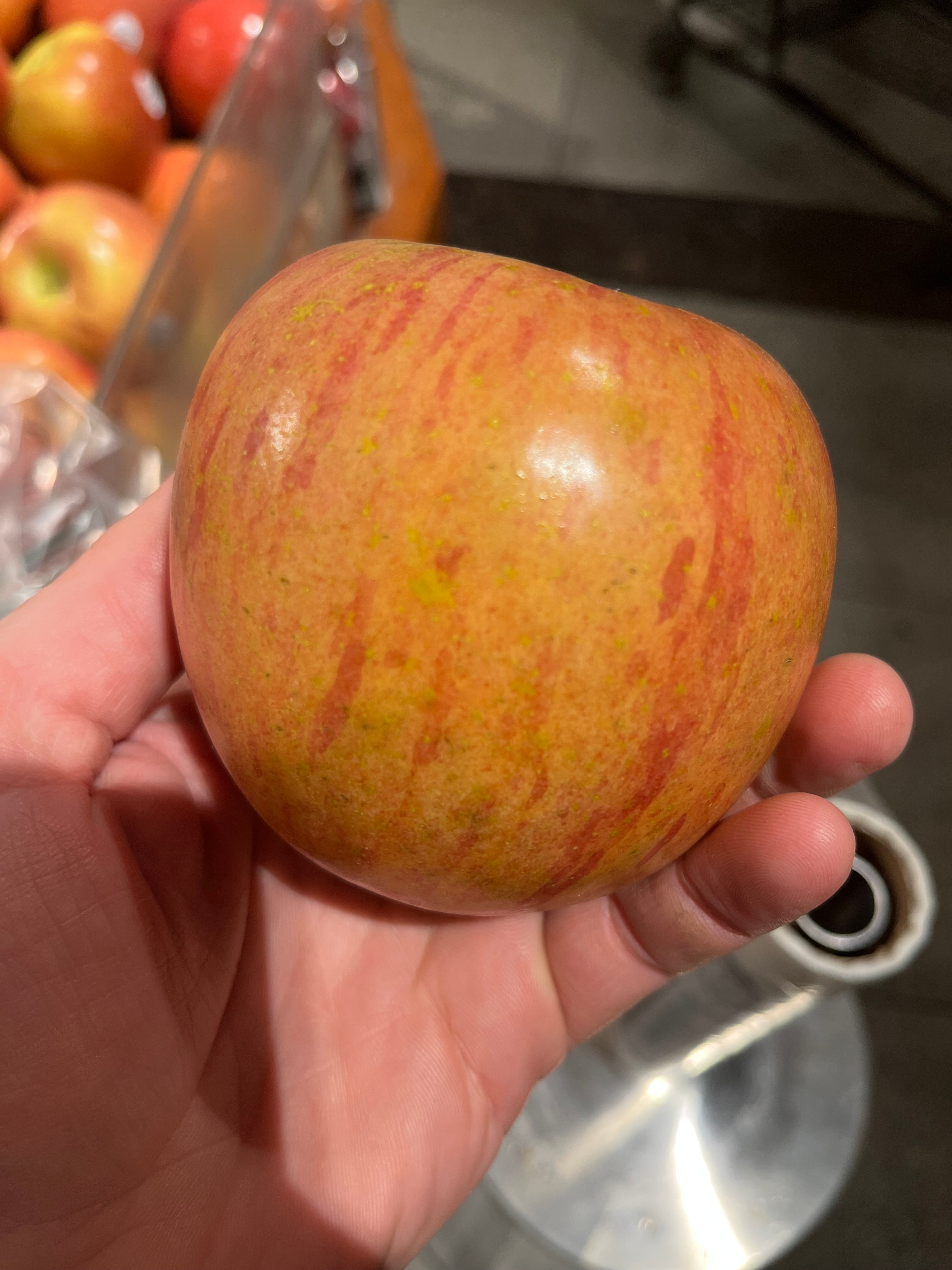 Fuji Apple Tree — Roots to Fruits Nursery