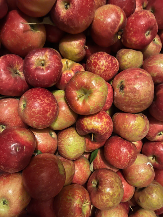 Keepsake Apple Tree