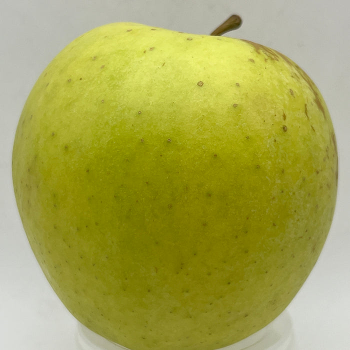 Champagne Apple