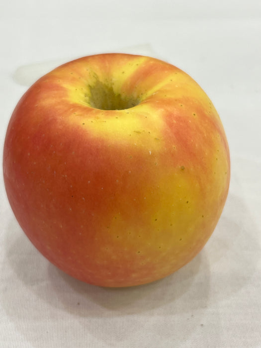 Pink Luster® Apple Trees