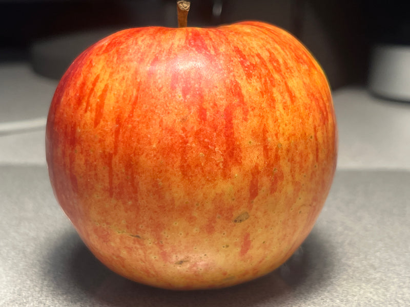 William's Pride Apple Tree