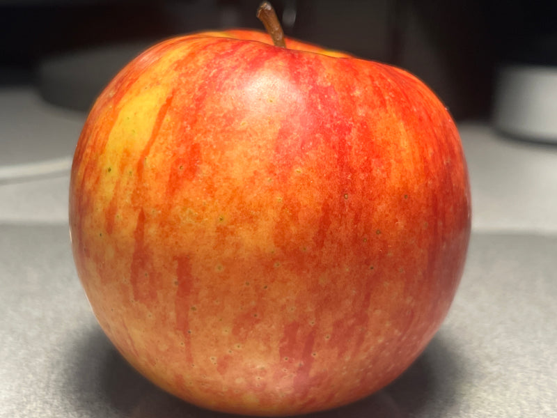 William's Pride Apple Tree