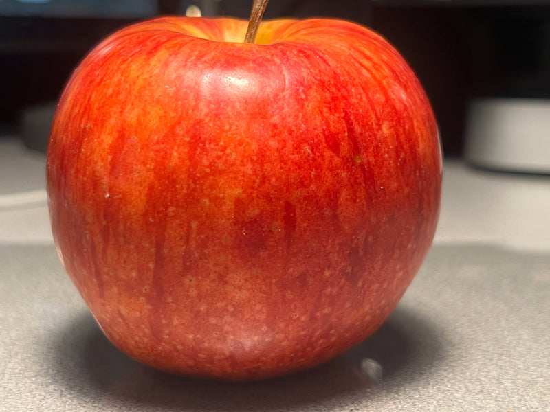 William's Pride Apple Tree