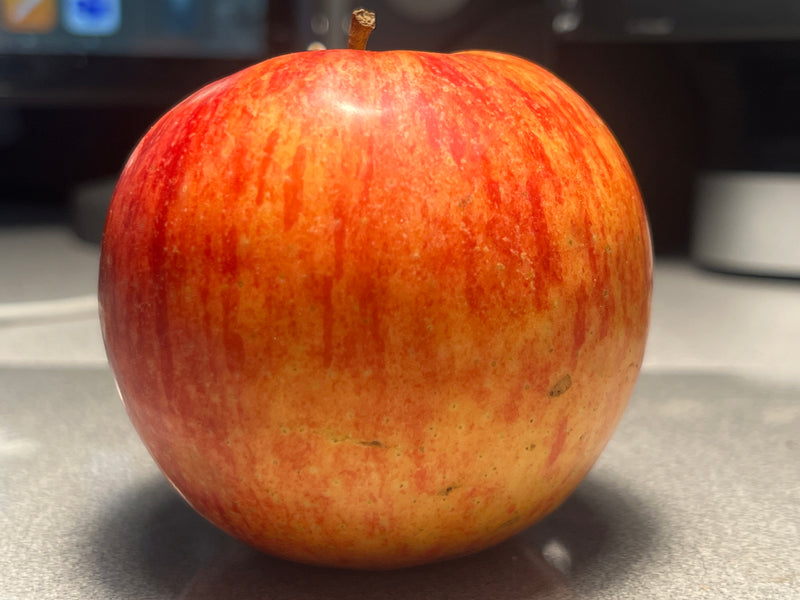 William's Pride Apple Tree