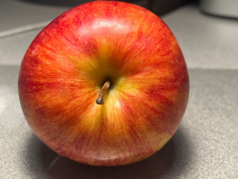 William's Pride Apple Tree