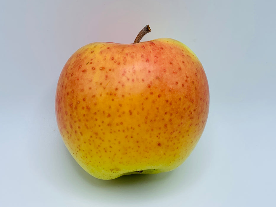 Golden Supreme Apple Tree