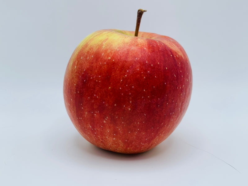 Empire Apple Scionwood