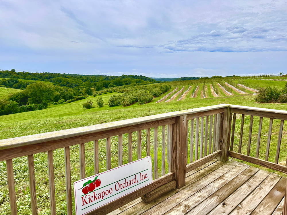 1913 Kickapoo Orchard