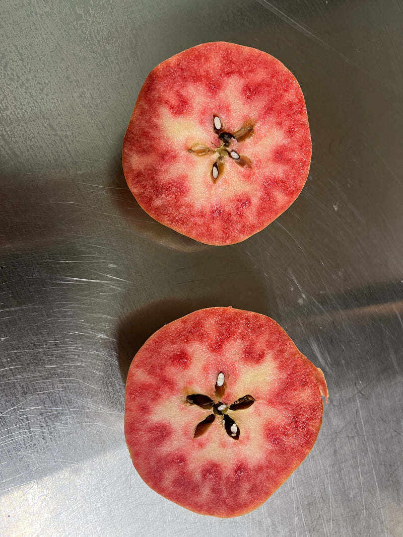Pink Pearl Apple Trees