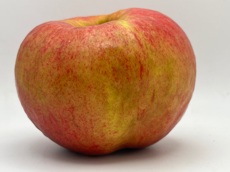 Twenty Ounce Apple Tree