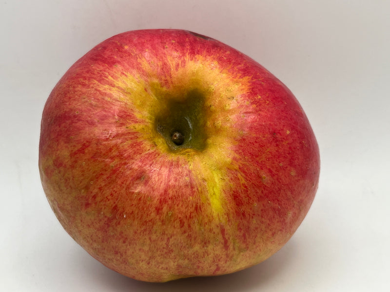 Twenty Ounce Apple Tree