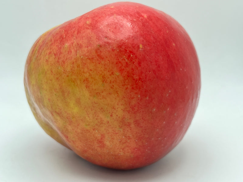 Twenty Ounce Apple Tree