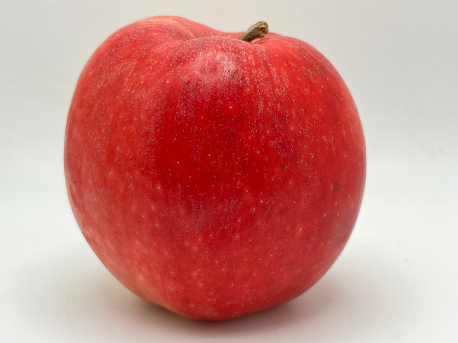 Jonadel Apple Trees