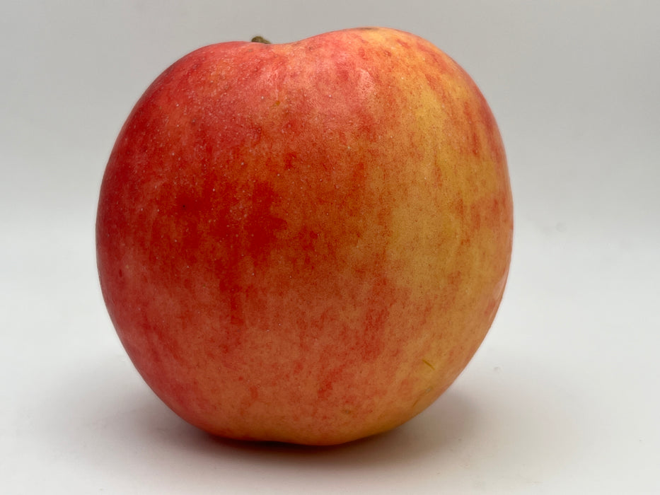 Jonadel Apple Trees