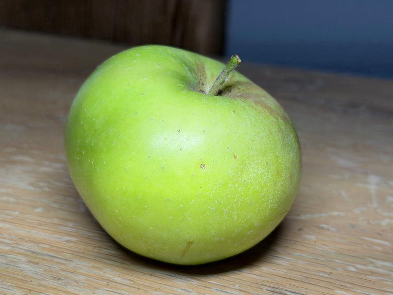Rhode Island Greening Apple Tree
