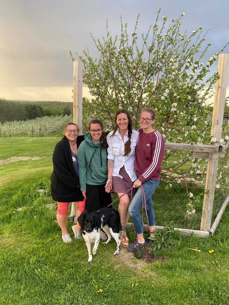 Multi-Grafted Fruit Trees