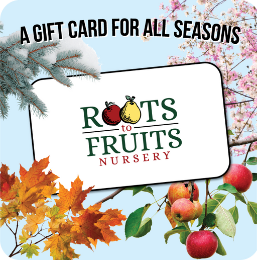 Product Variant Image