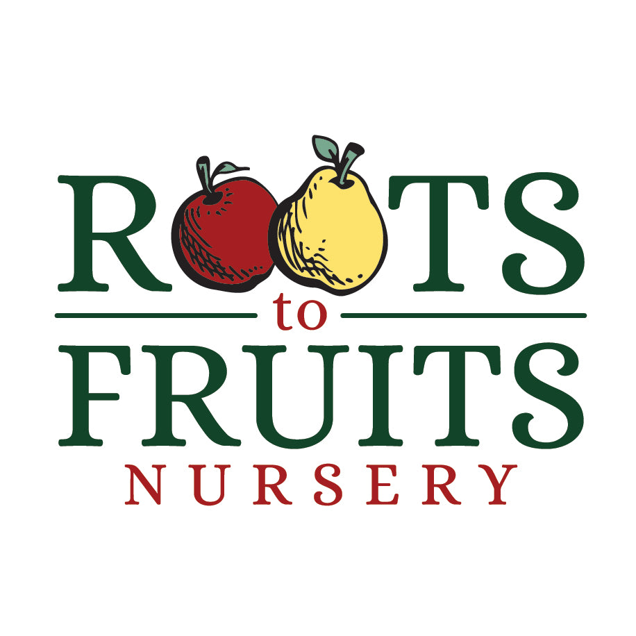 Elstar Apple — Roots to Fruits Nursery