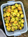 basket of green and brown russeted apples