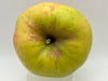 top view of an apple Harrison Heilman