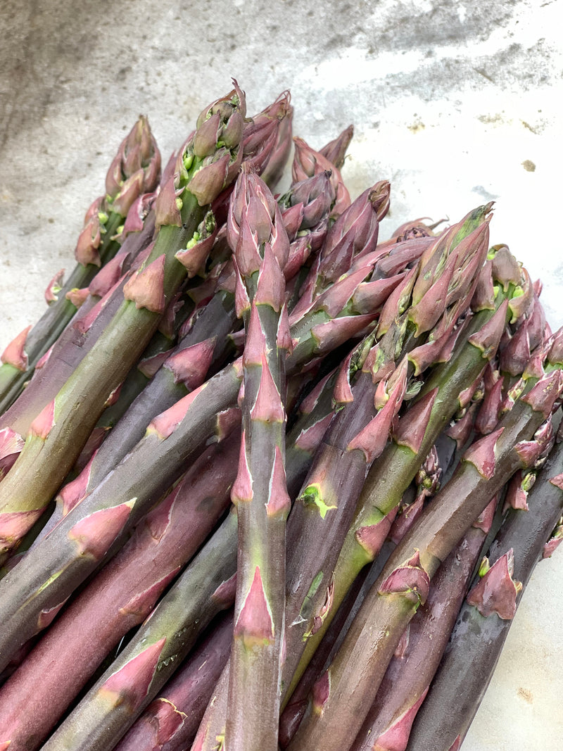 Purple Passion Asparagus