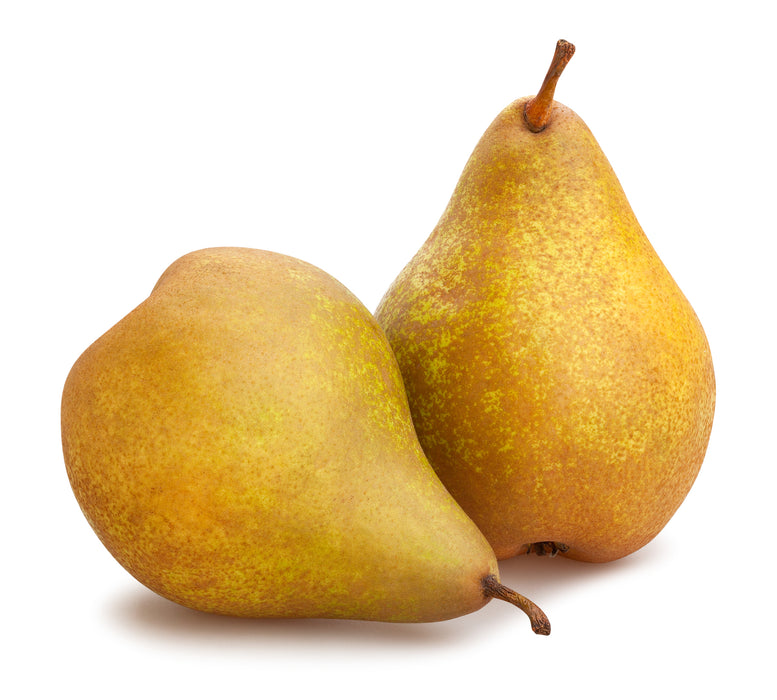 Bosc Pear