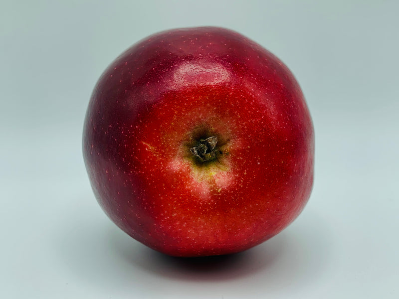 King David Apple Trees