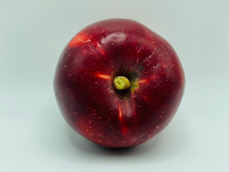 King David Apple Trees