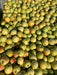 Bin of Gold Rush Apples