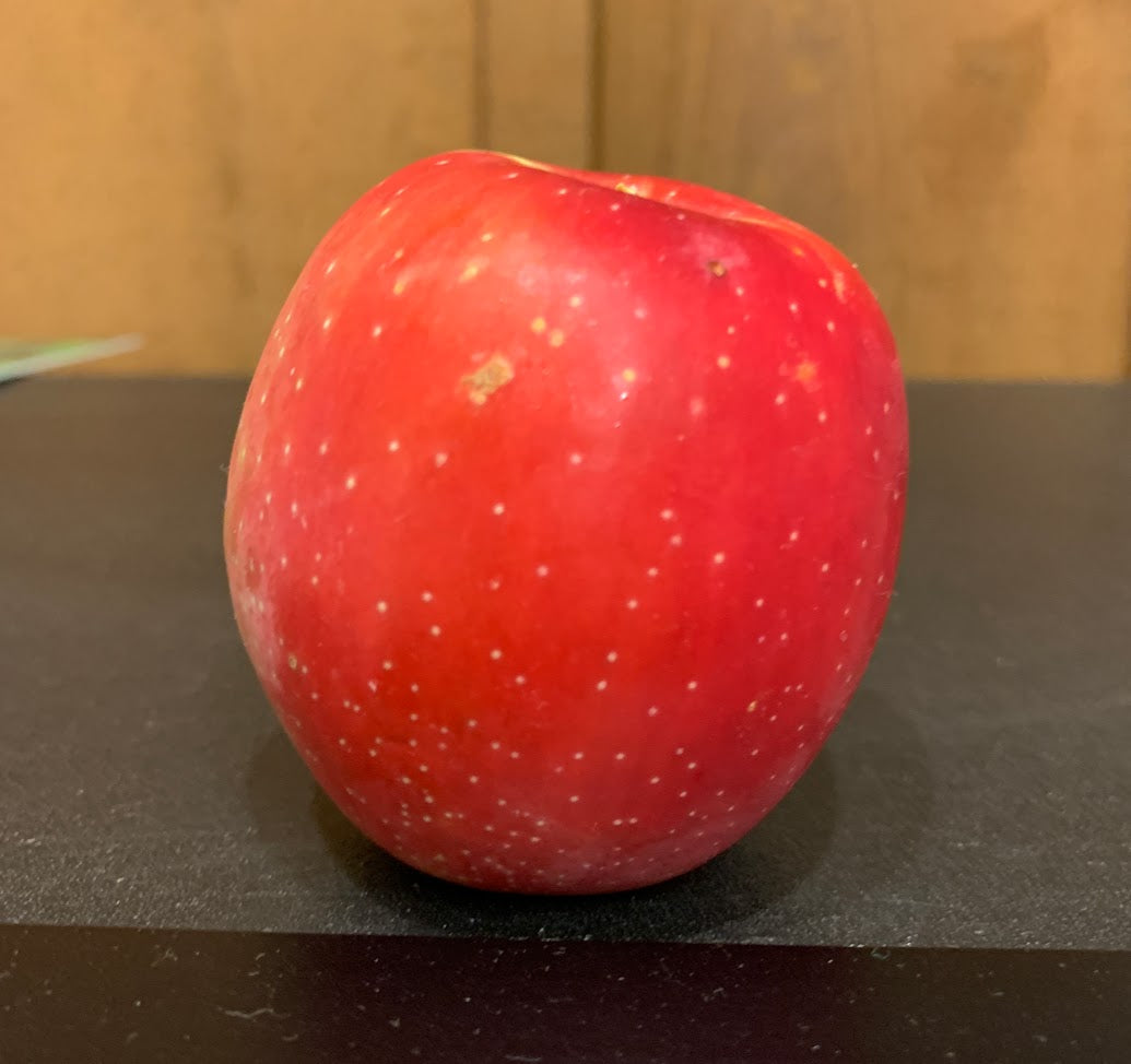 Kickapoo Spice Apple Tree — Roots to Fruits Nursery