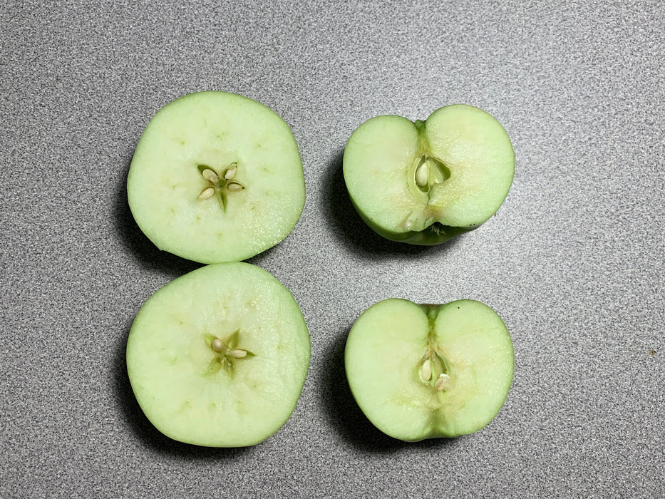 Yellow Transparent Apple