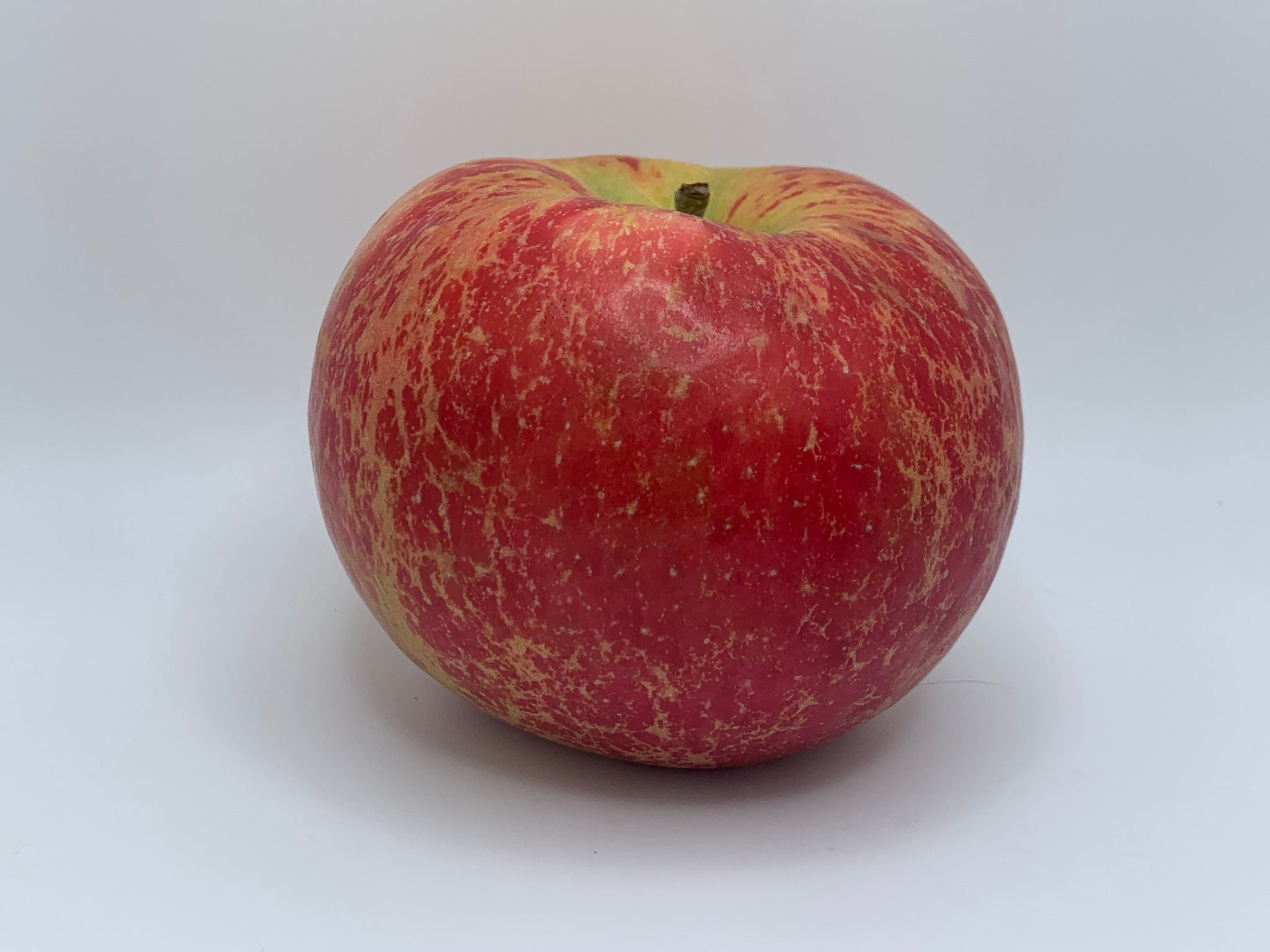 Modern Apples — Roots to Fruits Nursery